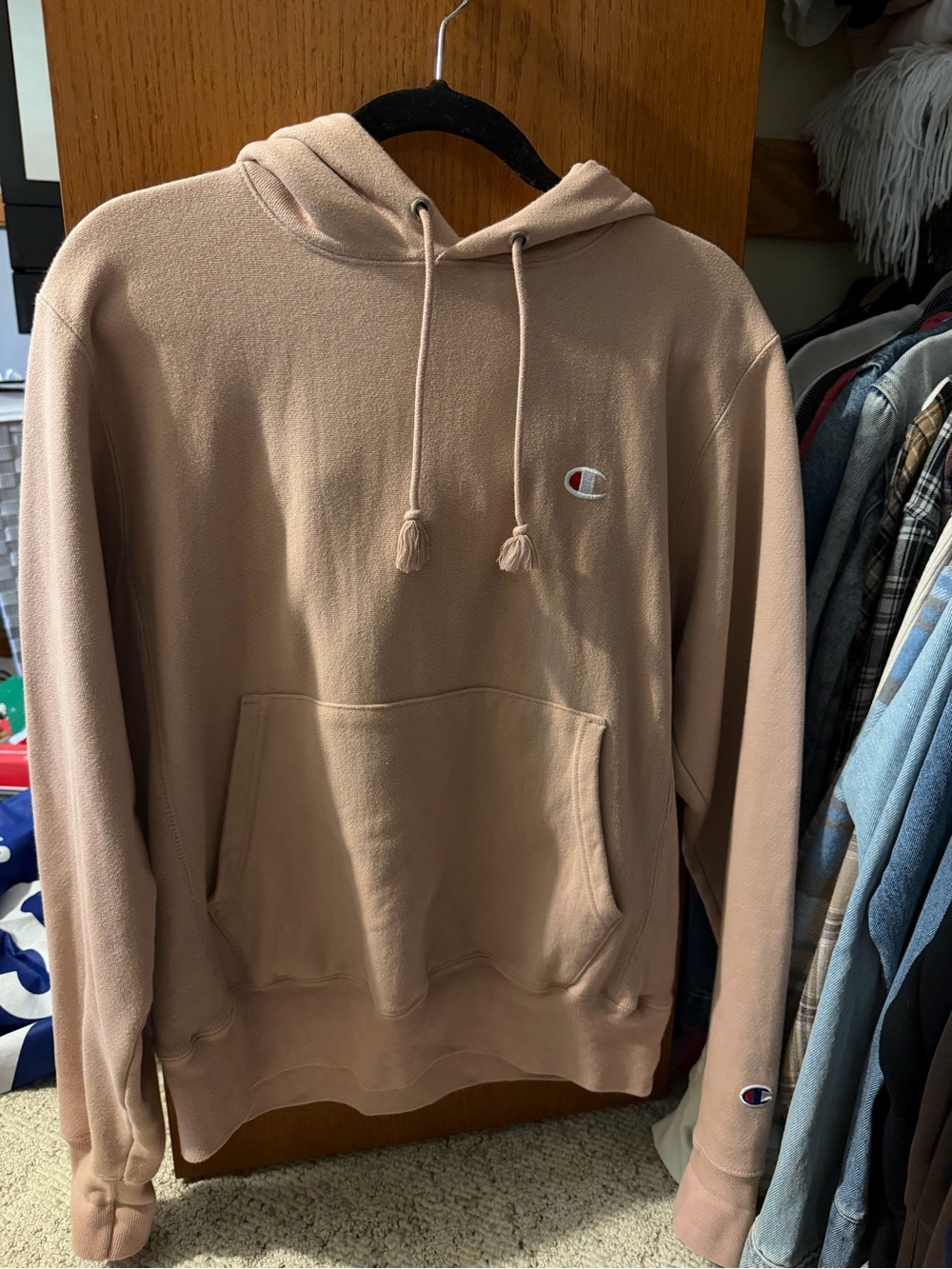 Champion Hooded Sweatshirt